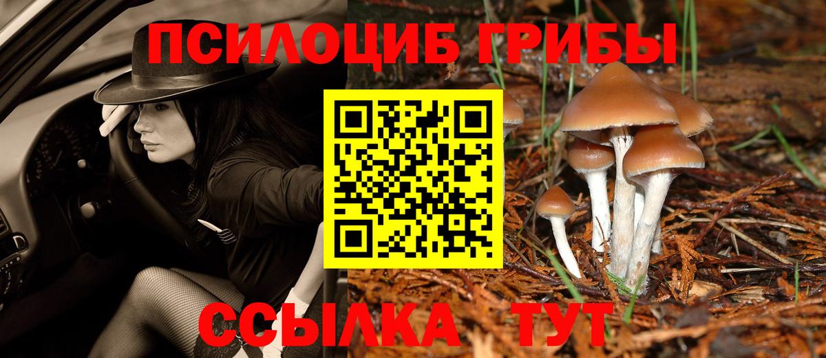 Егорьевск  Псилоцибиновые грибы GOLDEN TEACHER  Вход с VPN 
